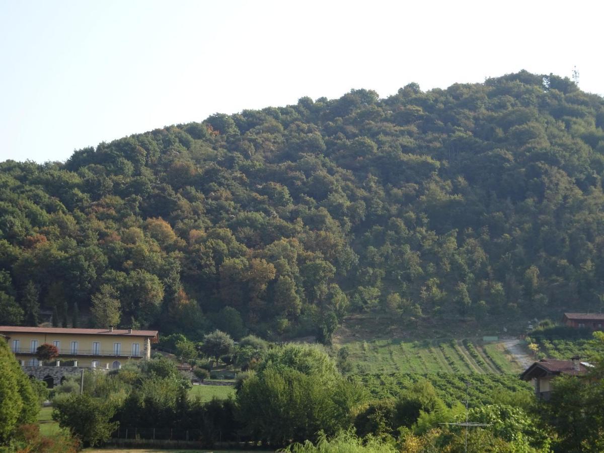 Casaro Apartment Albano Sant'alessandro Екстериор снимка